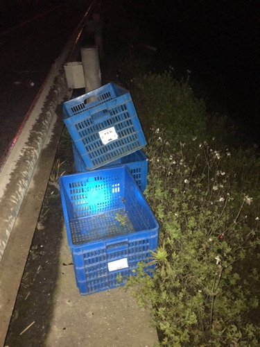 被清理的塑料筐(张亮摄)_副本.jpg